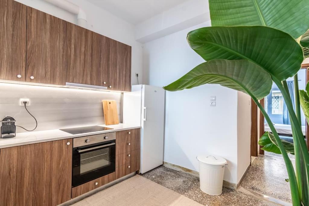 Botanical Apartment เอเธนส์ ภายนอก รูปภาพ