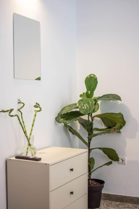 Botanical Apartment เอเธนส์ ภายนอก รูปภาพ