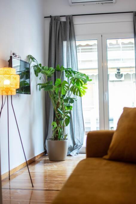 Botanical Apartment เอเธนส์ ภายนอก รูปภาพ